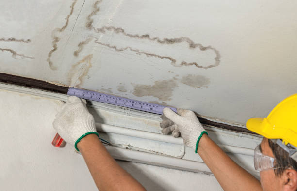 24/7 Emergency Structural Drying experts in Northville, MI