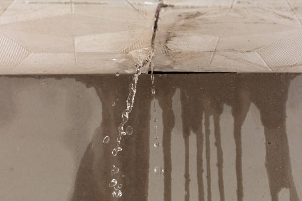 Professional Structural Drying technician working in Northville, MI